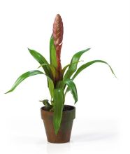 4502 MA Potted Single Sword Bromeliad Silk Flower Arrangement Mauve