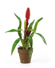 4502 RD Potted Single Sword Bromeliad Silk Flower Arrangement Red