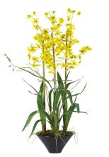 4613 YL Oncidium w/Black Vase Silk Flower Arrangement Yellow