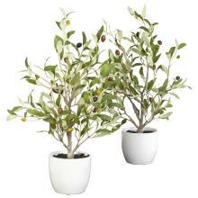 Olive Silk Tree w/Vase 18"(Set of 2)