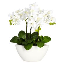 4804 - Phalaenopsis Silk Flower Arrangement