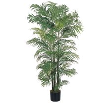 Schefflera Silk Tree 5'