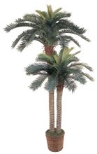 Silk Sago Palm Tree, Double Potted 6' & 4' Arrangement