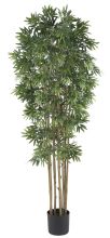 Japanica Bamboo Silk Tree 6' Arrangement