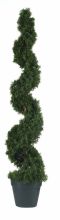 Cedar Spiral Silk Tree (Indoor/Outdoor) 4'