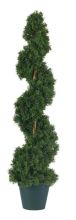 Cedar Spiral Silk Tree (Indoor/Outdoor) 3'