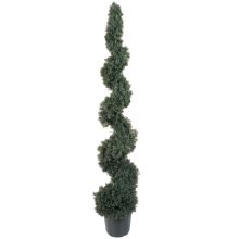 Cedar Spiral Silk Tree (Indoor/Outdoor) 5'
