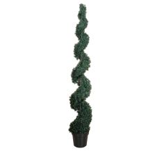 Cedar Spiral Silk Tree (Indoor/Outdoor) 6'