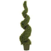 Rosemary Spiral Silk Tree (Indoor/Outdoor) 5'