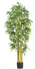 Biggy Style Green Silk Bamboo Tree