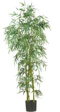 5193 - 6' Fancy Style Slim Bamboo Silk Tree Green