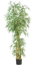 5194 - 7' Fancy Style Slim Bamboo Silk Tree Green