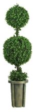 Leucodendron Topiary, 5' Double-Ball w/Decorative Vase (Indoor/Outdoor)