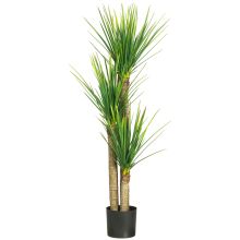 Corn Silk Tree 58.5"