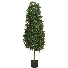 Sweet Bay Pyramid Silk Tree 5'
