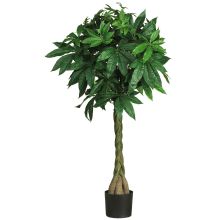 Money Silk Tree 51"
