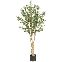 Olive Silk Tree 5'