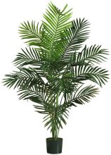 Paradise Palm Silk Tree 5'
