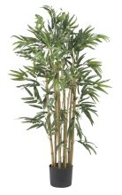 Multi-Stemmed Silk Bambusa Bamboo Tree 3'