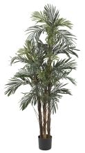 5' Robellini Palm Silk Tree Green
