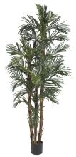 6' Robellini Palm Silk Tree Green