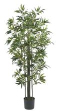 Bamboo Silk Tree 6'