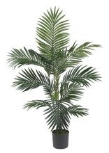 Kentia Palm Silk Tree 4'