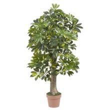 5305 4' Schefflera Silk Tree (Real Touch)