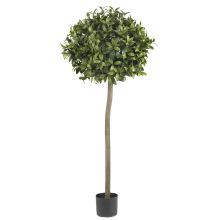 Silk Sweet Bay Topiary Tree 5'