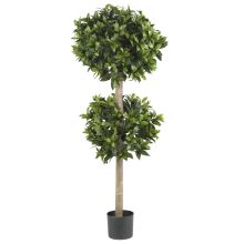 Double Ball Sweet Bay Topiary,  57"