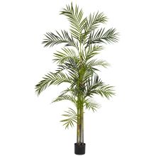 Areca Silk Palm Tree 6'