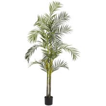 Areca Silk Palm Tree 7'