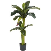 Artificial Banana Silk Tree, w/Bananas 5'+3'