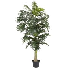 5326 - 8' Golden Cane Palm Silk Tree