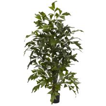 Fishtail Palm Silk Tree 4.5'