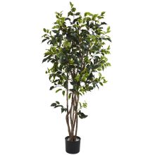 5333 - 5' Ficus Bushy Silk Tree