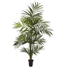 Kentia Palm Silk Tree 7'