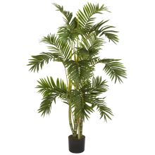 Areca Silk Palm Tree 4'