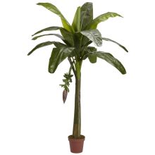 Banana Silk Tree 6' (Real Touch)