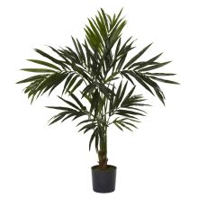 Kentia Palm Silk Tree 5'