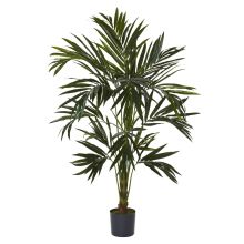 Kentia Palm Silk Tree 6'