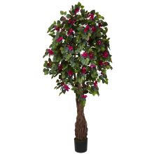 Bougainvillea Silk Tree, Multi Vine 6'
