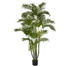 Areca Silk Palm Tree 5'