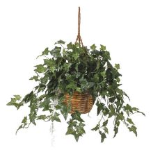 Green Silk English Ivy Hanging Basket Plant
