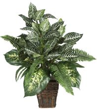 6528 - Mixed Greens Zebra with Wicker Silk Plant Green