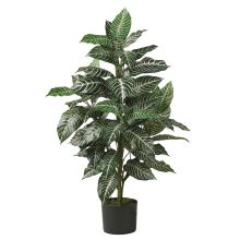 6542 - 3' Zebra Silk Plant