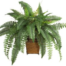 6549 - Boston Fern w/Wood Wicker Basket Silk Plant