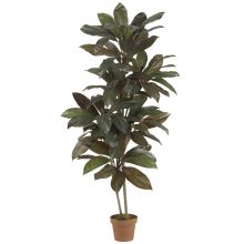 Cordyline Silk Plant 5' (Real Touch)