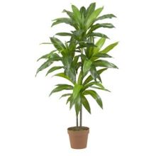 6585 48" Dracaena Silk Plant (Real Touch)