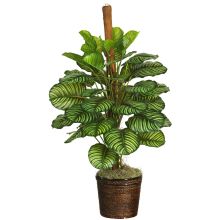 Calathea Real Touch Silk Plant  Green